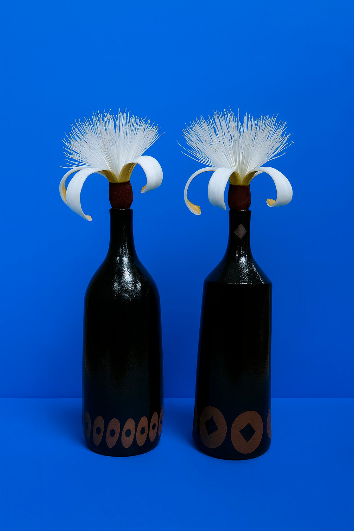 GARRAFA LONGAS AFRICA